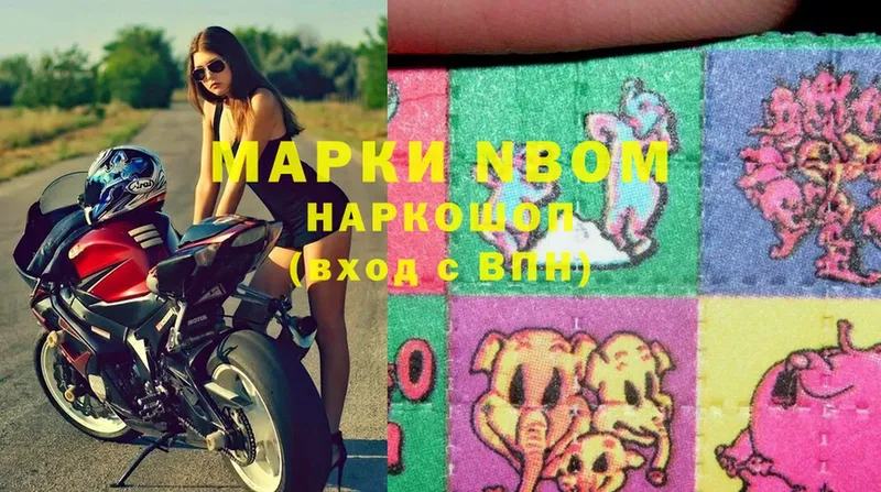 kraken вход  Злынка  Марки NBOMe 1,5мг 